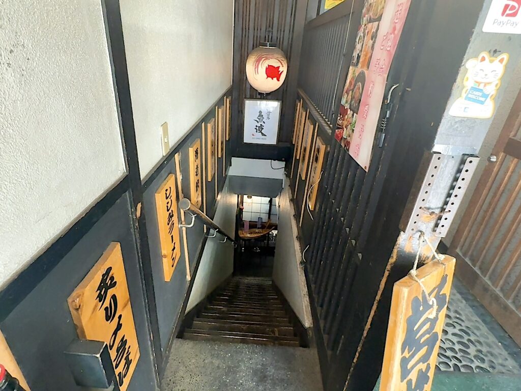 魚波：外観